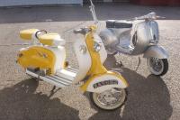 Scooter gallery photo 98